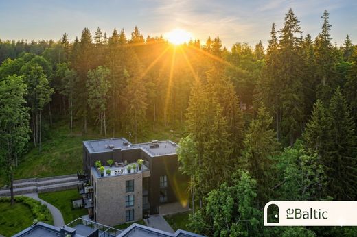 Apartment / Etagenwohnung in Vilnius, Vilnius County