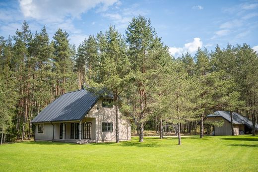 Luxury home in Pašerinė, Svencionys