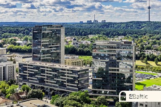 Piso / Apartamento en Vilna, Vilnius