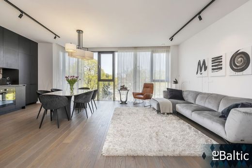 Apartment in Vilnius, Vilnius County