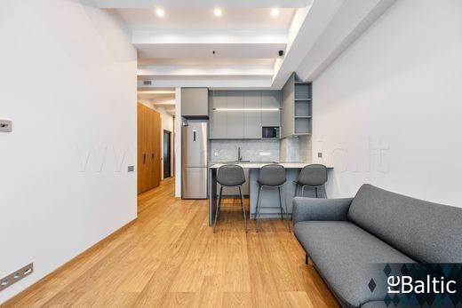Apartment in Vilnius, Vilnius County
