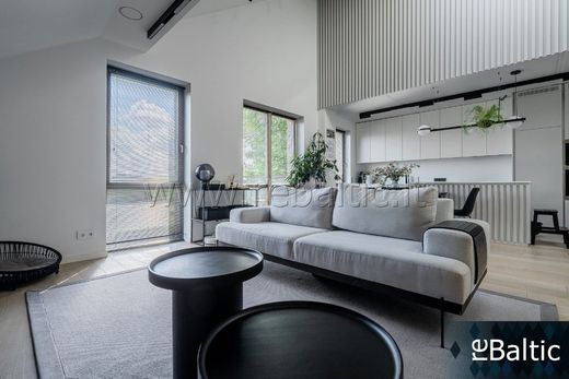 Apartment in Vilnius, Vilnius County