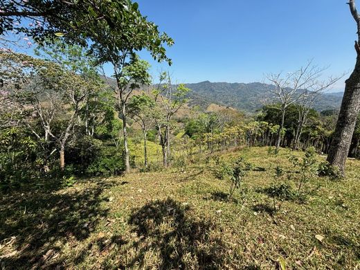 Αγροτεμάχιο σε Atenas, Provincia de Alajuela