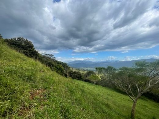 Arsa Atenas, Provincia de Alajuela