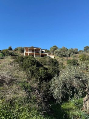 别墅  Budoni, 萨萨里省