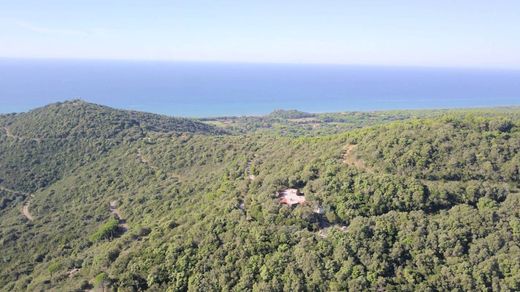 Willa w Castiglione della Pescaia, Provincia di Grosseto