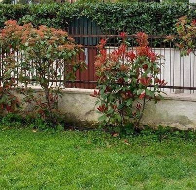 Villa Terracina, Latina ilçesinde