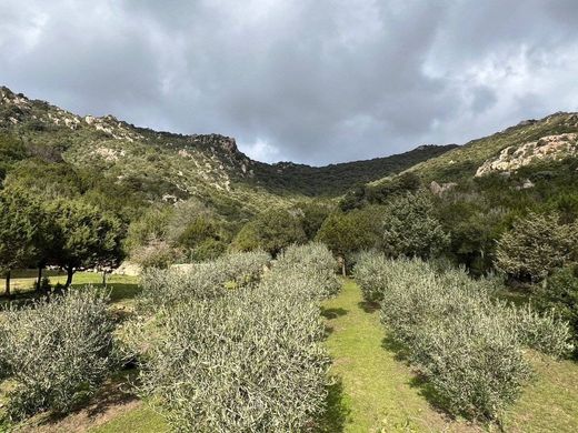 Villa a Arzachena, Sassari