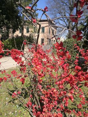 Βίλα σε Faenza, Provincia di Ravenna