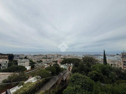 Daire Cenova, Genova ilçesinde