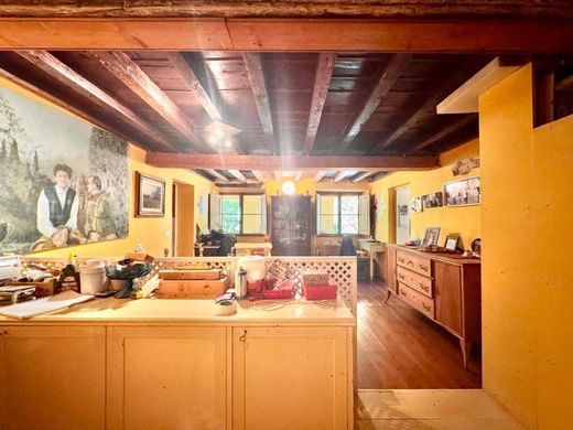 フィレンツェ, Province of Florenceのアパートメント