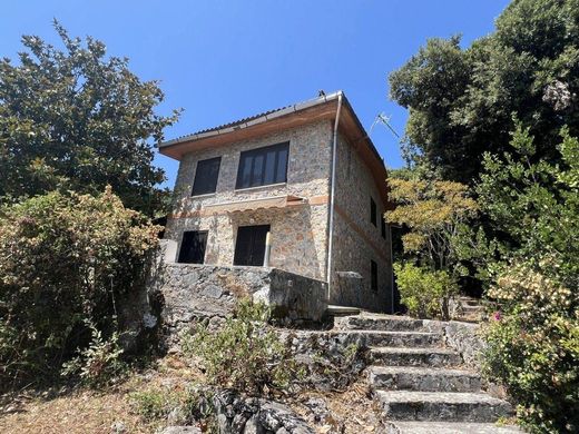 Villa en San Giovanni A Piro, Provincia di Salerno