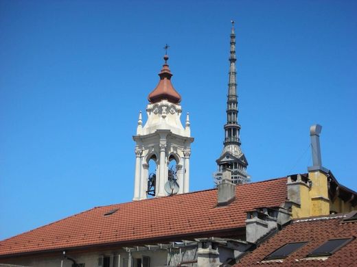 Apartment in Turin, Piedmont
