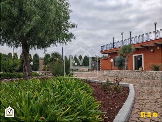 Вилла, Барлетта, Provincia di Barletta - Andria - Trani