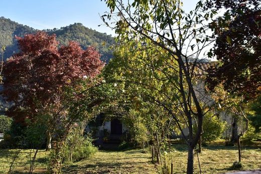 Загородный Дом, Лукка, Provincia di Lucca