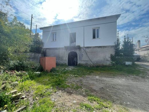 Villa - Frascati, Roma