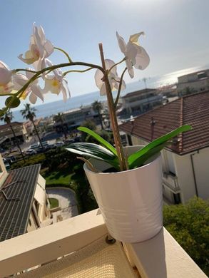 아파트 / Viareggio, Provincia di Lucca