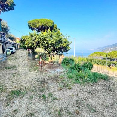 Villa in Camogli, Provincia di Genova