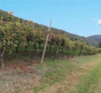 Εξοχική κατοικία σε Brendola, Provincia di Vicenza
