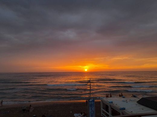 Apartamento - San Vincenzo, Provincia di Livorno