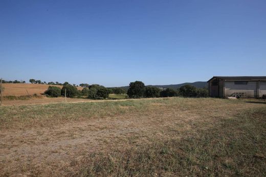 Casa de campo - Grosseto, Provincia di Grosseto