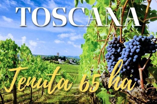 Villa in Florence, Tuscany