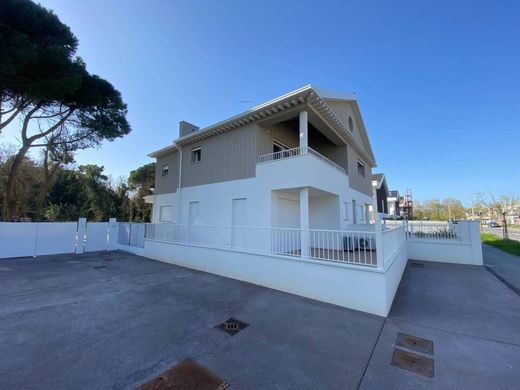 Лэйнхаус, Равенна, Provincia di Ravenna