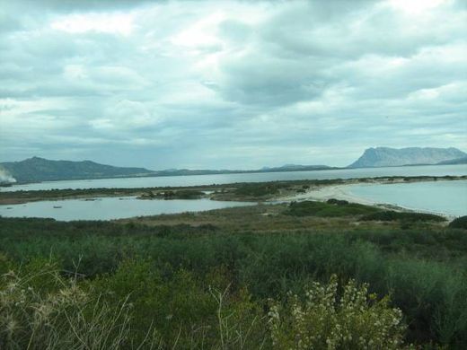 Willa w San Teodoro, Provincia di Sassari