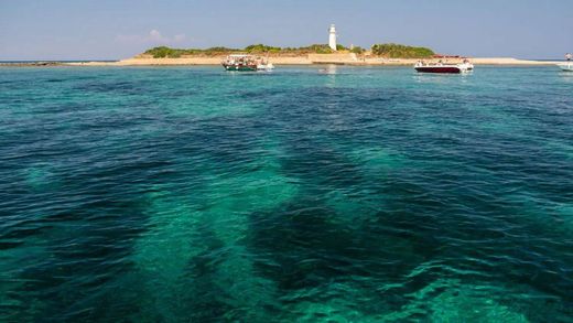 Castellabate, Provincia di Salernoのカントリーハウス