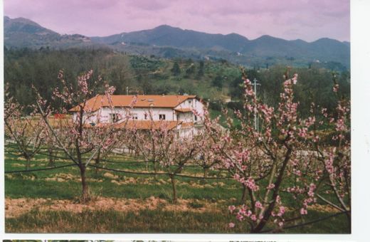 Casa de campo - Scarperia, Florença