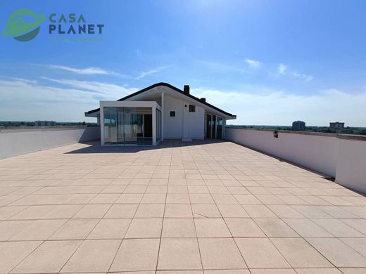 Penthouse in Mogliano Veneto, Provincia di Treviso