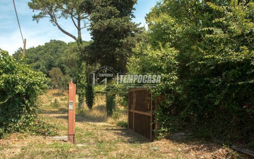 Villa Fiumicino, Roma