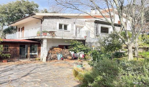 Landhuis in Tempio Pausania, Provincia di Sassari