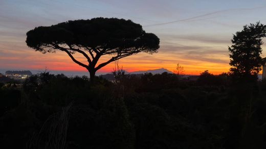 Daire Napoli, Napoli ilçesinde