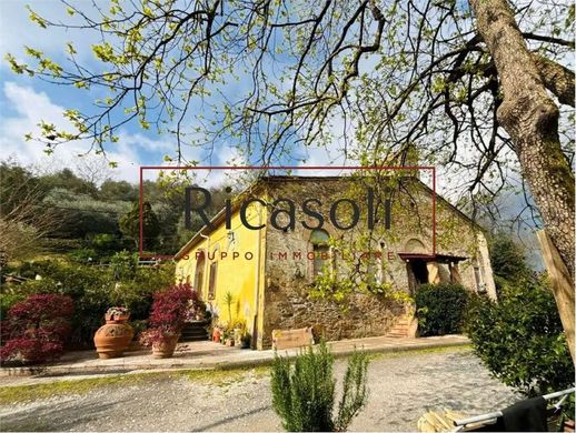 Köy evi Vicopisano, Pisa ilçesinde