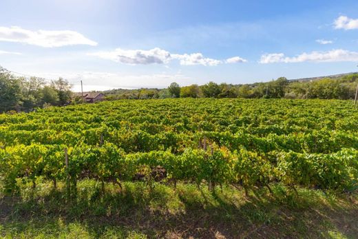 Propriété de campagne à Linguaglossa, Catane