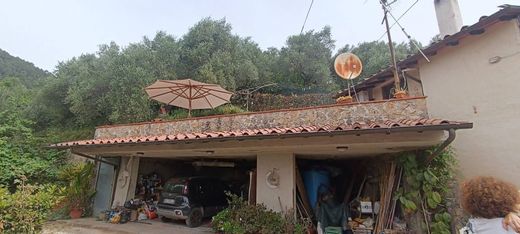 Köy evi Camaiore, Lucca ilçesinde