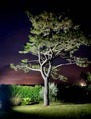 别墅  Castagneto Carducci, 利沃诺省