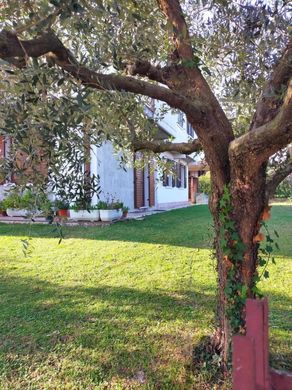 别墅  Bussolengo, 维罗纳省