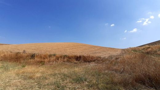 Landsitz in Tarquinia, Provincia di Viterbo