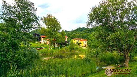 Загородный Дом, Licciana Nardi, Provincia di Massa-Carrara