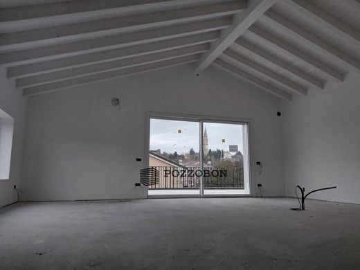 阁楼  Montebelluna, 特雷维索省