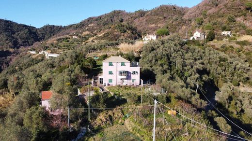 Villa - Levanto, Provincia di La Spezia