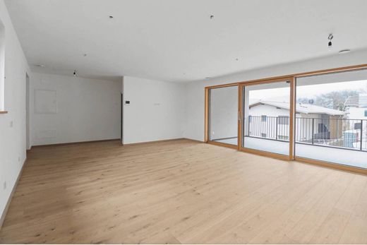 Daire Tesimo, Bolzano ilçesinde