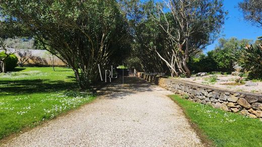 Villa in Rome, Latium