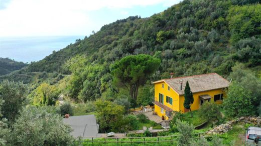 Luxus-Haus in Vernazza, Provincia di La Spezia