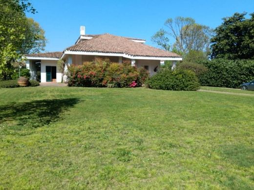 Villa in Corbetta, Milan