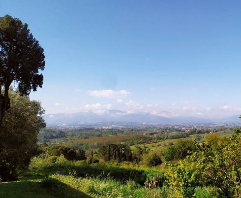 Gospodarstwo w Capannori, Provincia di Lucca