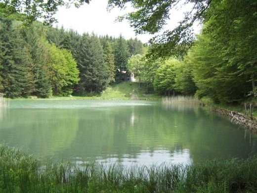 Βίλα σε Fivizzano, Provincia di Massa-Carrara