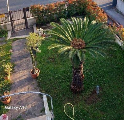 Villa Terracina, Latina ilçesinde